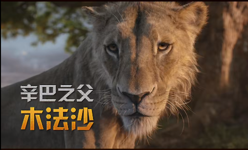 QQ20241216-092530 QQ20241216-092530