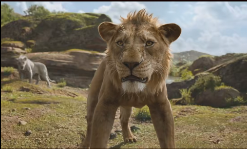 QQ20241216-092450 QQ20241216-092450